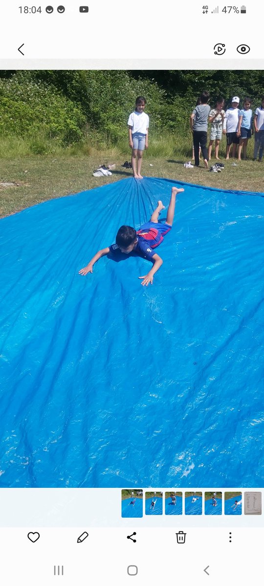 Forestschoolmvps tweet media