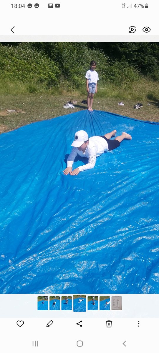 Forestschoolmvps tweet media