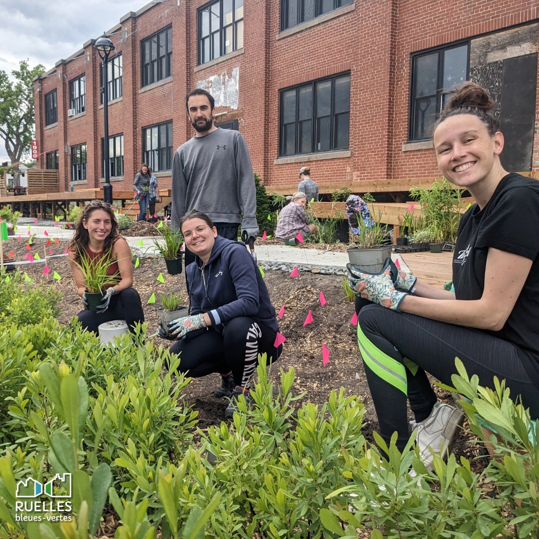 💛 Le CEUM félicite les nombreux bénévoles présents lors de la corvée de plantation de la toute première ruelle bleue-verte au Québec!

L'activité de plantation se poursuit ce samedi 18 juin et mercredi 21 juin 👉facebook.com/batimentsept/p…