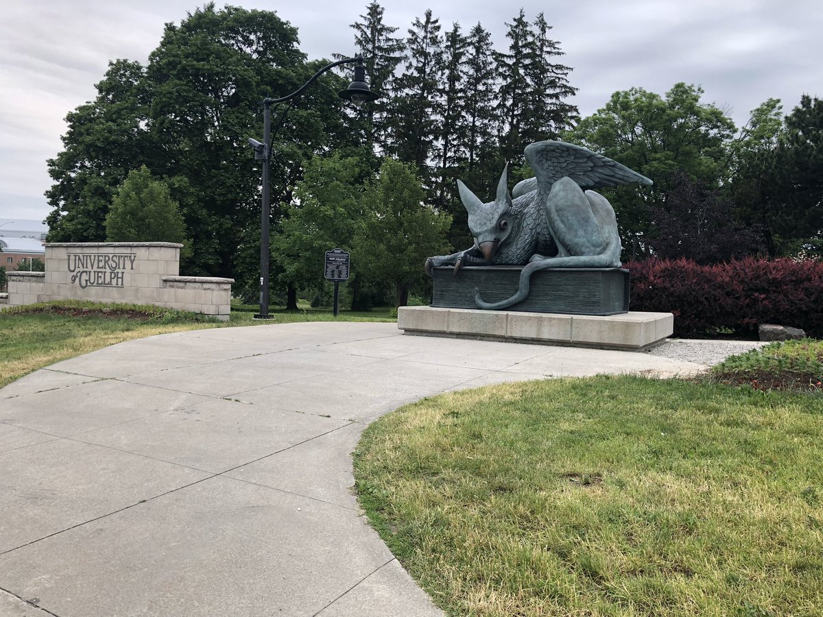 You know you are at a Canadian circadian meeting when the whole meeting discusses if the rodent seen outside is a beaver or a ground hog! Day two of the great @chronobiocanada meeting! #csc2023Guelph