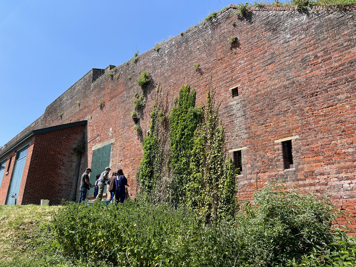 DenizBeckPartners tweet media