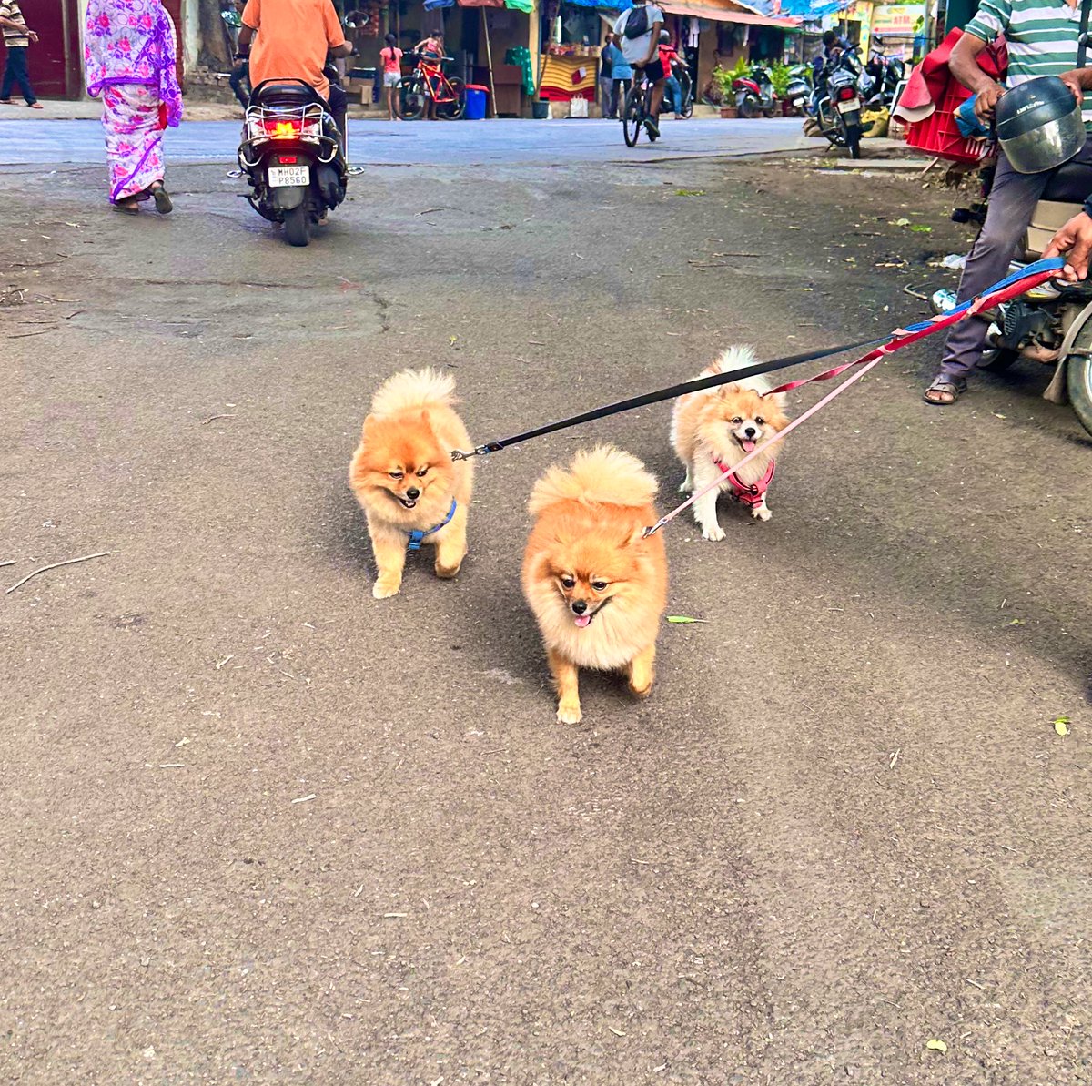 Ankita Chawla 🛼🍄🪩 tweet media