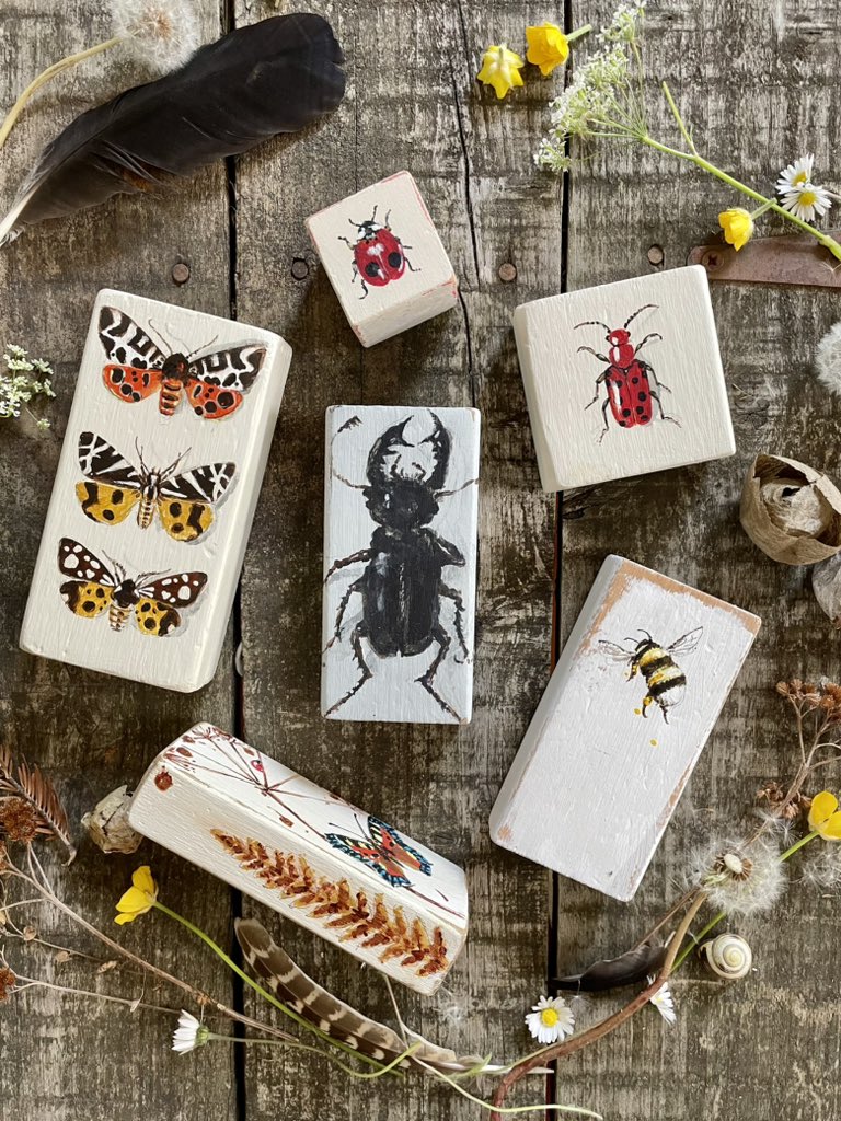 SusanBourne17's tweet photo. A few hand painted wooden blocks 🦋🐝🐞#loveinsects 🧡 https://t.co/2btu7sXQoN