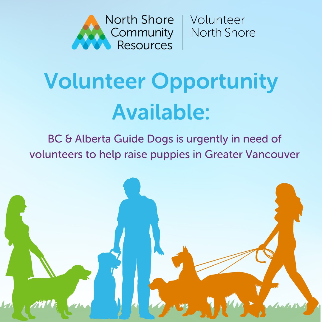 NSCRConnect's tweet photo. #VolunteerOpportunity: @bcguidedogs is in urgent need of #Puppy Raising #volunteers in Greater Vancouver. Learn more from the BC &amp; Alberta Guide Dogs website, https://t.co/9dISRMm4jz. #guidedog #servicedog #guidedogs #guidedogintraining #puppy #servicedogs #guidedogpuppy https://t.co/S2D0ismwAY