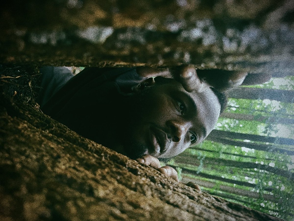 KyronSwain's tweet photo. “The Wood”
Self shot and edited 💪🏾
#photography #nature #atlanta https://t.co/aHcWcg4svn