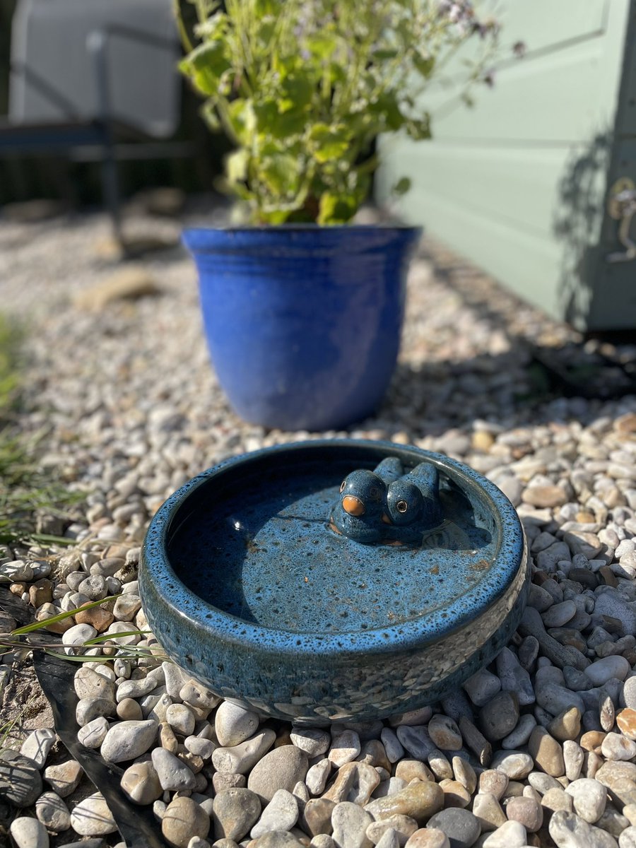 elaine neilson (@elaine_neilson) on Twitter photo Water topped up to help the birds and bees in this lovely warm weather 🐝☀️#greatbiggreenweek <a href="/stmarysmwell/">St Mary’s Motherwell</a> <a href="/ecocongregation/">Eco-Congregation Scotland</a> <a href="/FVandC/">FVandC</a> <a href="/bryce_calder/">Rev. Bryce Calder</a> Water topped up to help the birds and bees in this lovely warm weather 🐝☀️#greatbiggreenweek <a href="/stmarysmwell/">St Mary’s Motherwell</a> <a href="/ecocongregation/">Eco-Congregation Scotland</a> <a href="/FVandC/">FVandC</a> <a href="/bryce_calder/">Rev. Bryce Calder</a>