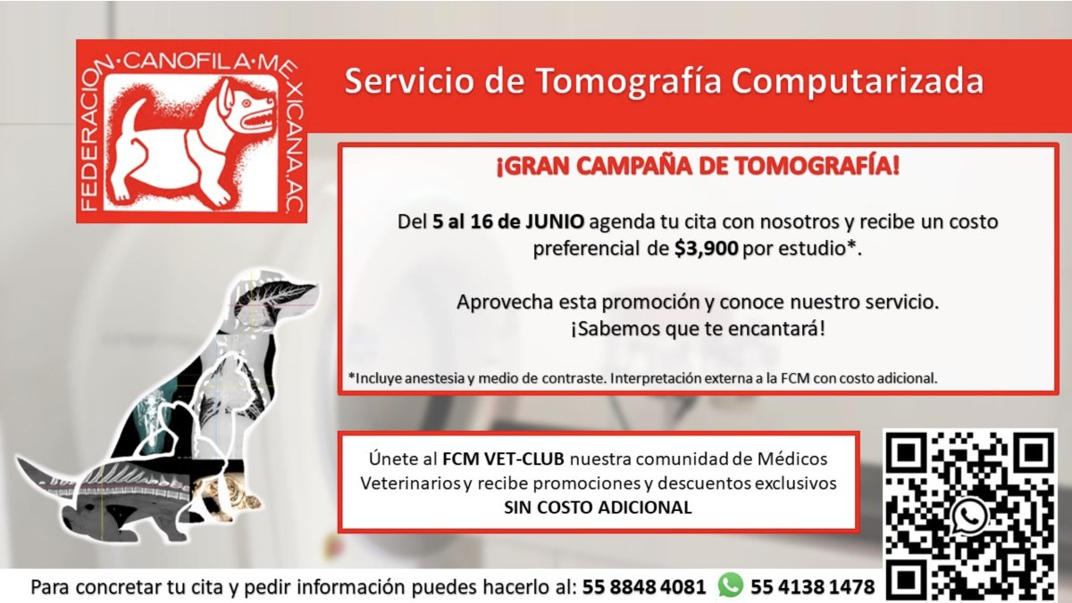 Últimos momentos de la 𝐆𝐑𝐀𝐍 𝐂𝐀𝐌𝐏𝐀Ñ𝐀 𝐃𝐄 𝐓𝐎𝐌𝐎𝐆𝐑𝐀𝐅Í𝐀 aprovecha el costo preferencial y únete al 𝗙𝗖𝗠 𝗩𝗘𝗧 - 𝗖𝗟𝗨𝗕 sin costo adicional. Mayores informes: Tel: 55 8848 4081 /  tomografia@fcm.mx
#tomogradíacanina #serviciosveterinarios