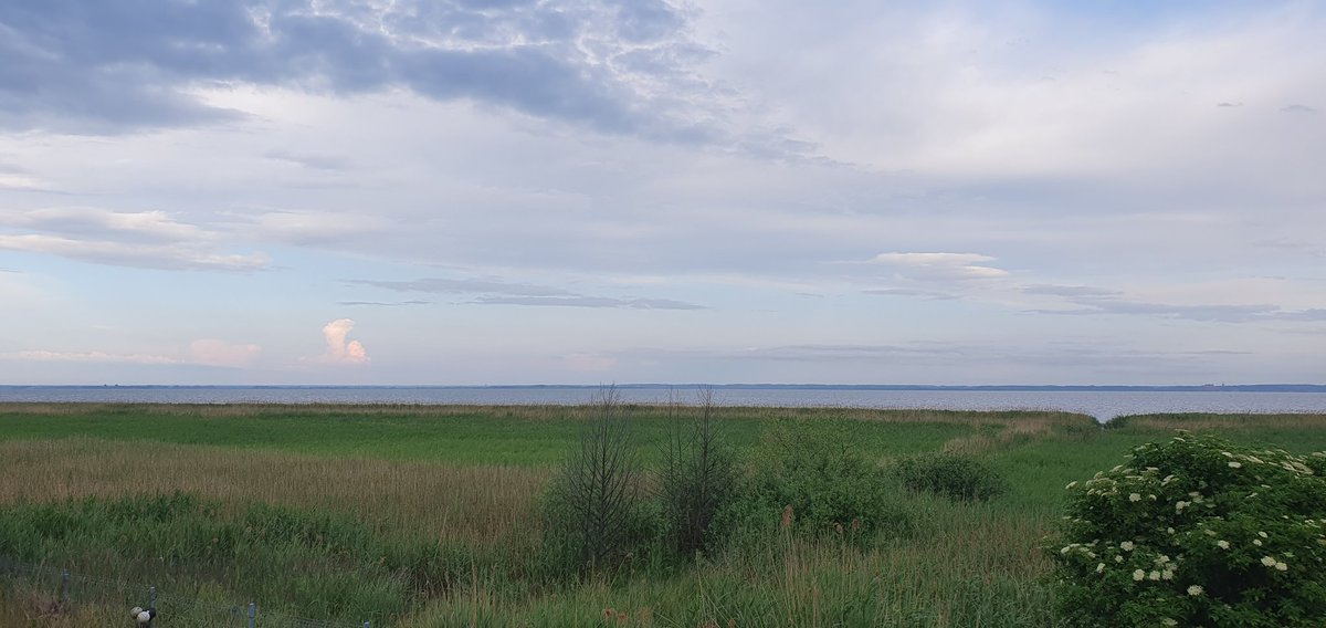 Grzegorz Gac tweet media