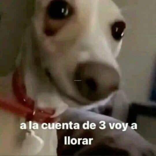 mapi_blue's tweet image. 