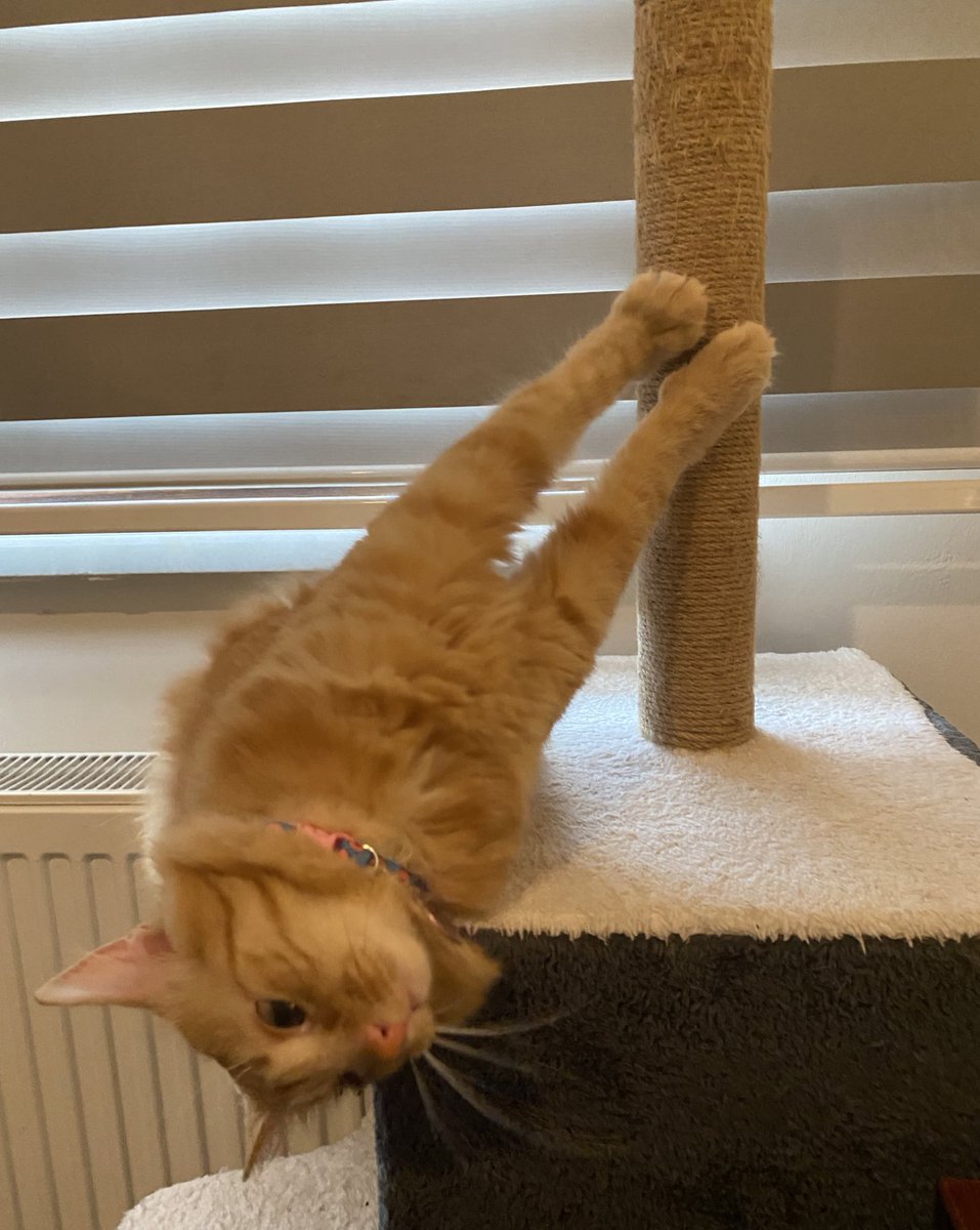 Direk dansı yaparken düşen o kişi