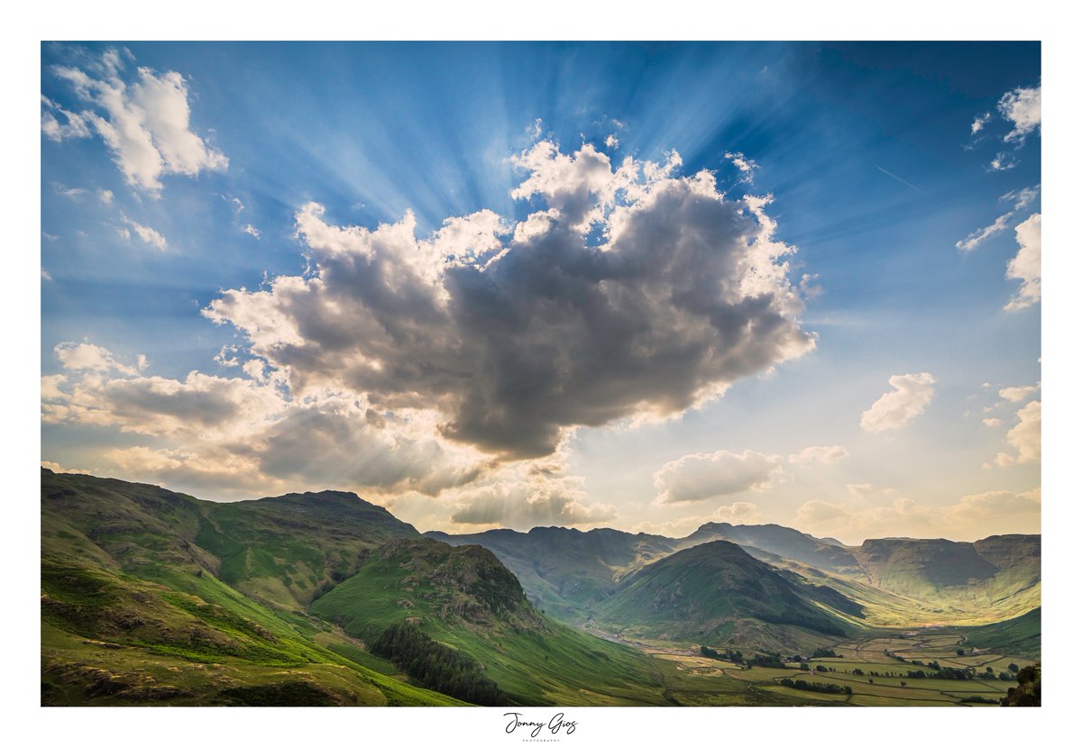 Jonny Gios tweet media