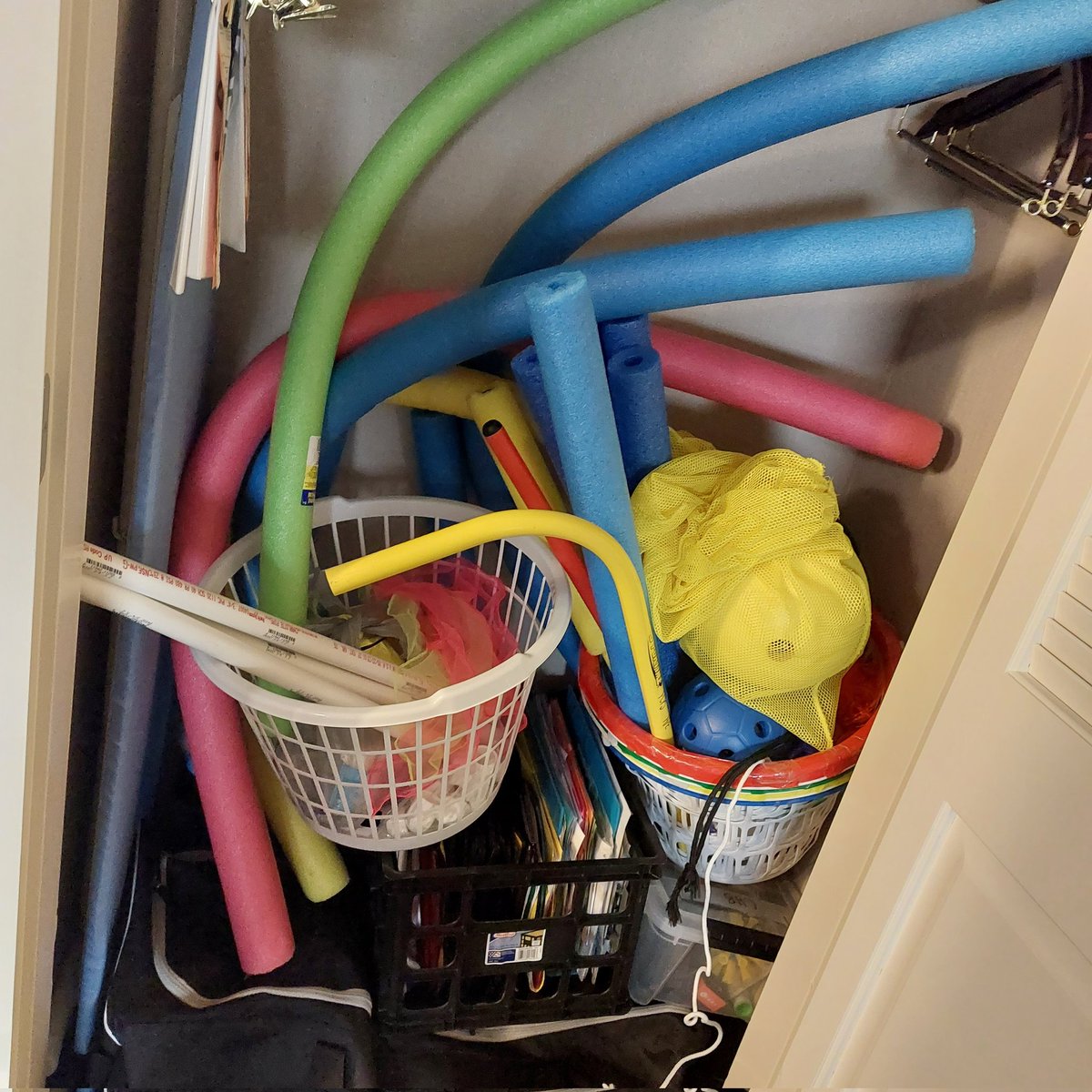 Sadie Brown tweet media