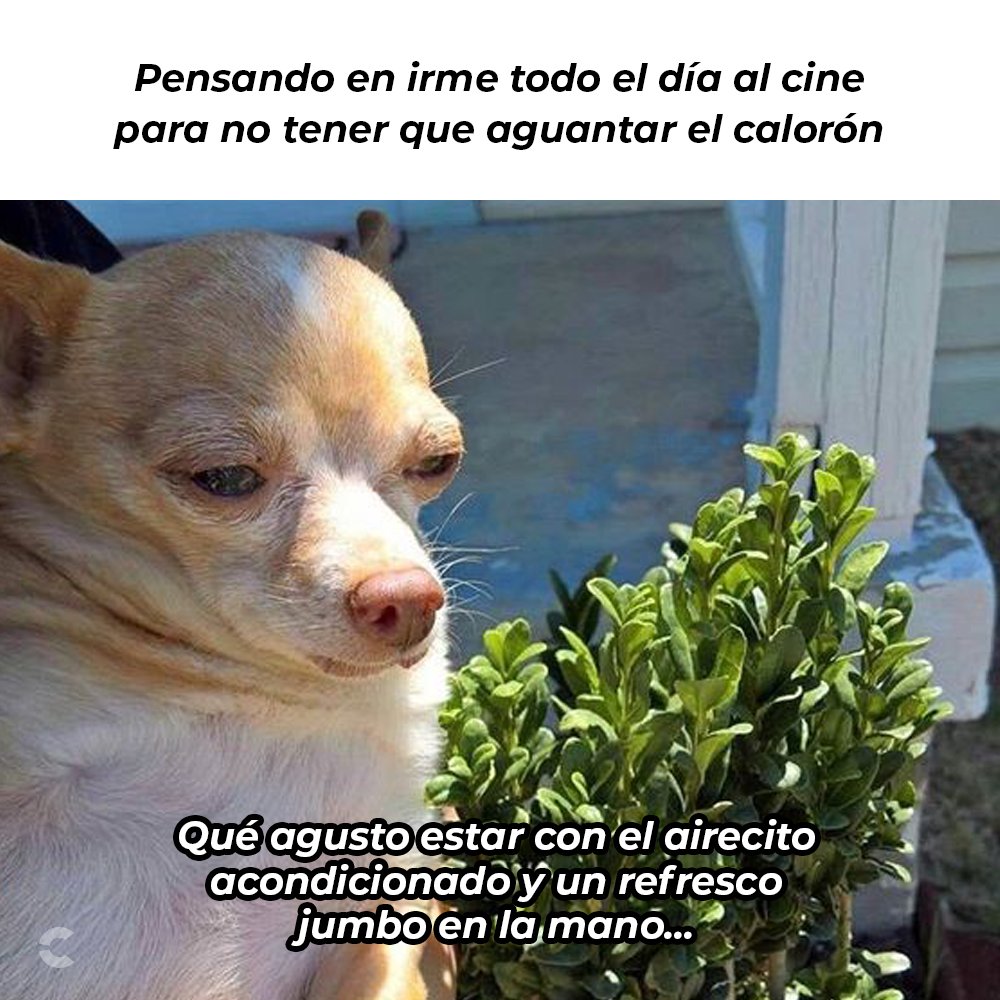 Se antoja puro refresco y frappé con este clima. 🥵, image size:1000x1000