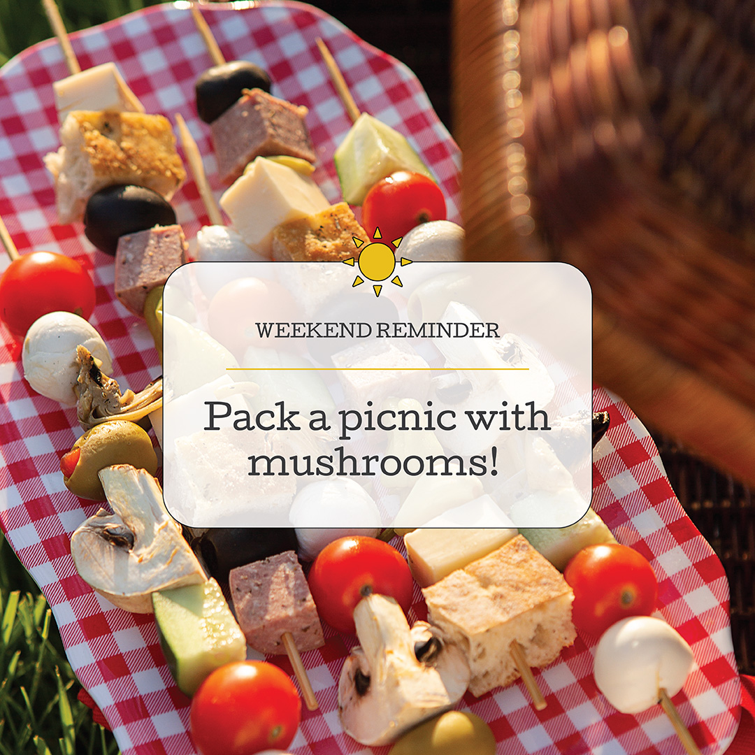 Here’s your weekend reminder to pack a picnic with mushrooms! 🍄😊