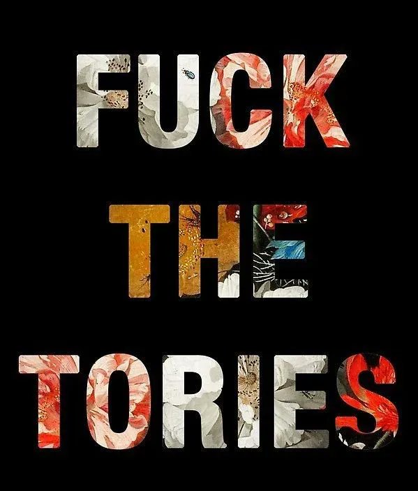 #FuckTheTories instagr.am/p/CsN7Y8XN_oV/