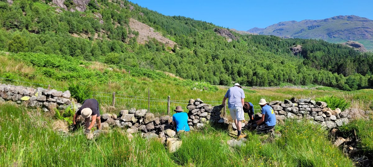 Restoring Hardknott Forest tweet media