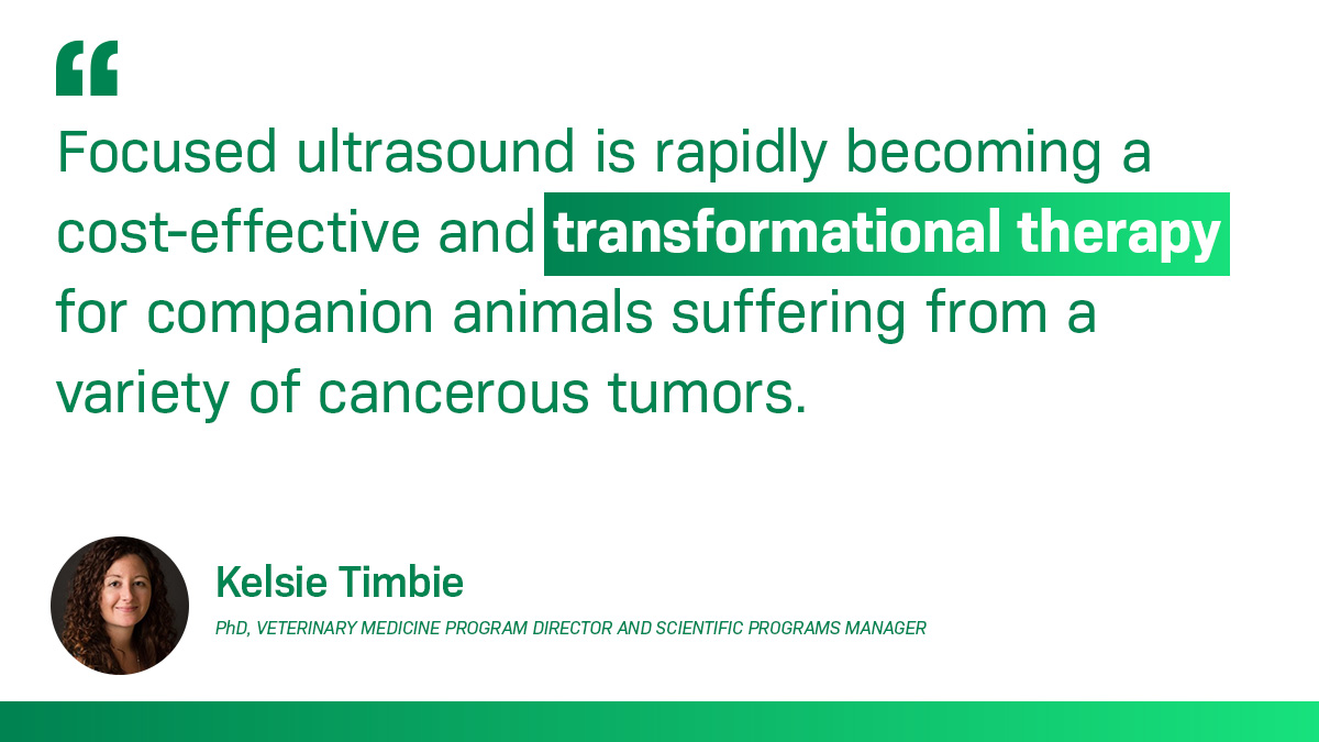 Focused Ultrasound Foundation tweet media