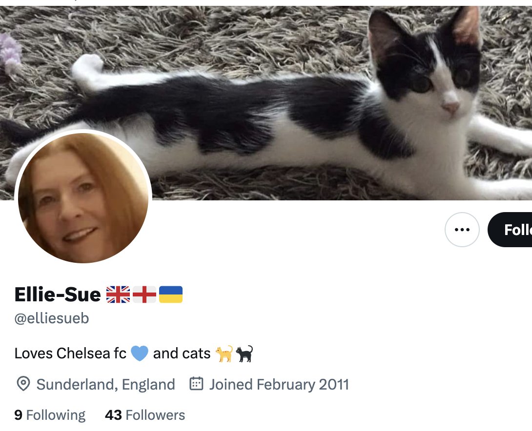 Supporters of Hate tweet media