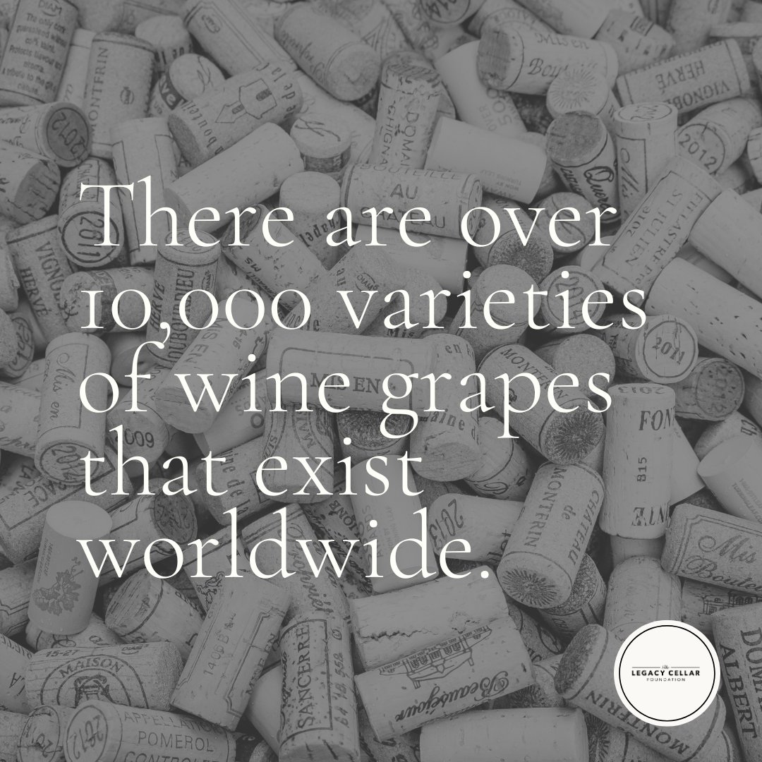 TheLegacyCellar's tweet photo. Follow us for more #funfacts about #wine 🍇 https://t.co/ACuylNtIYW