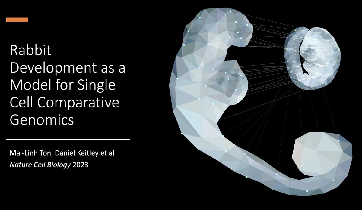 Delighted to see Mai-Linh’s and Dan’s <a href="/DanKeitley/">Daniel Keitley</a> main PhD work published today: nature.com/articles/s4155…