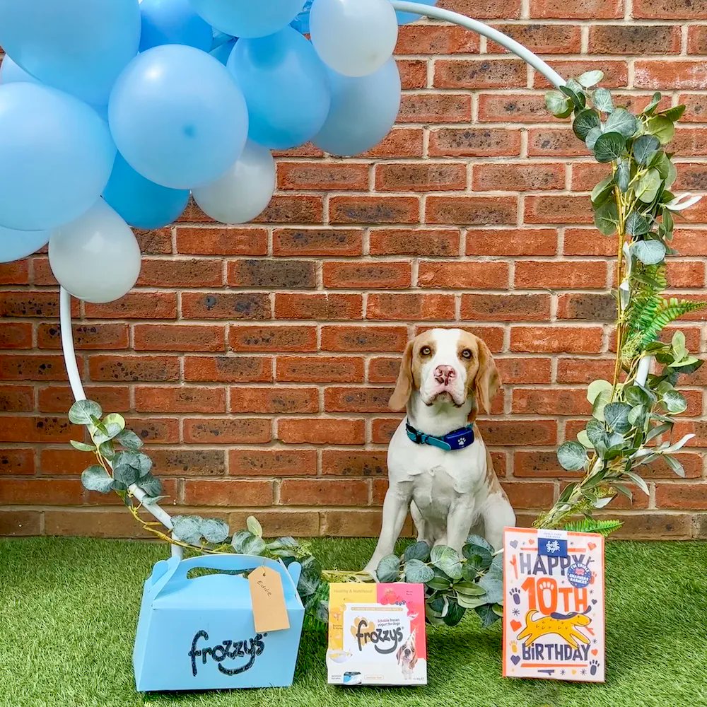 Frozzys for Dogs tweet media