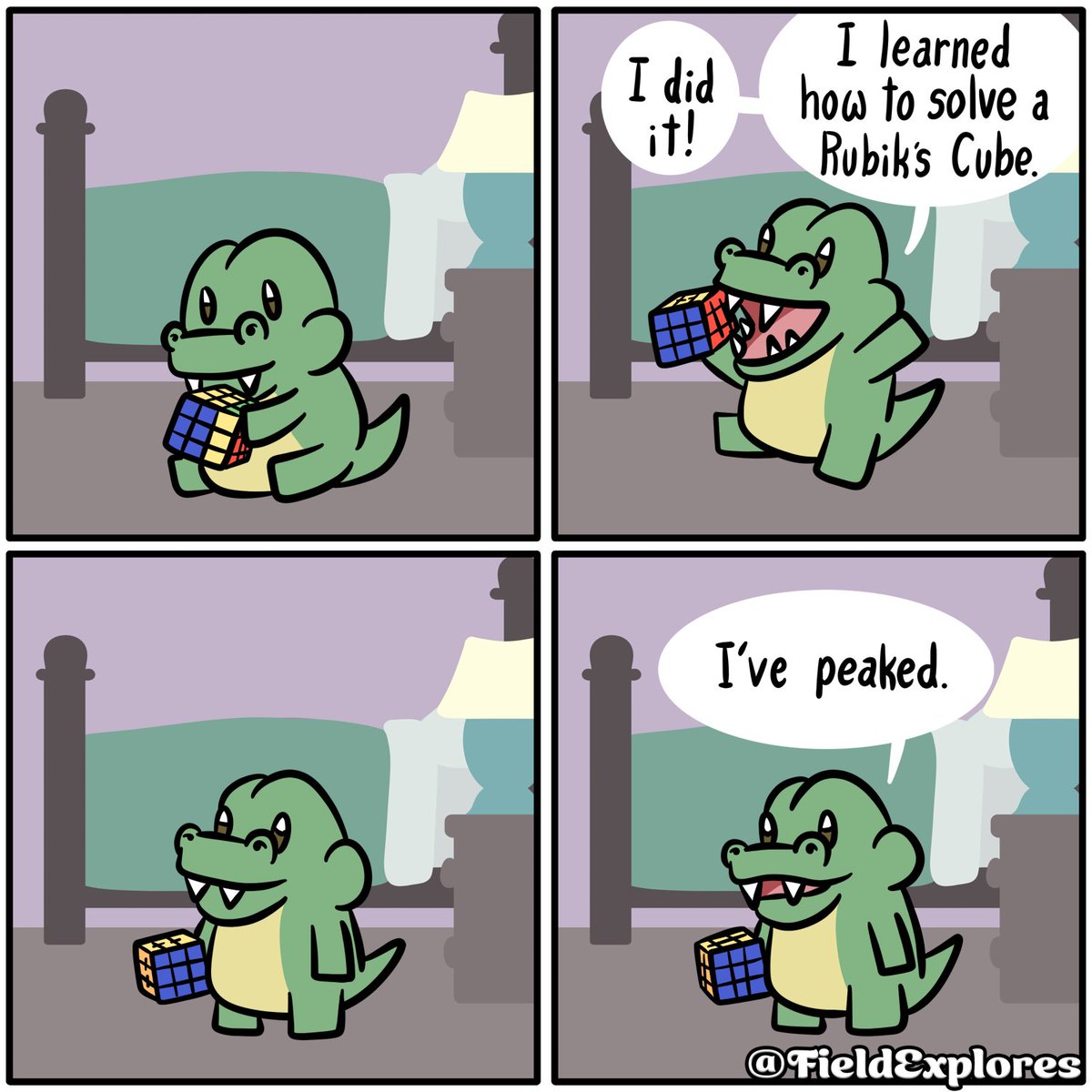 A small gator solves a Rubik's Cube.