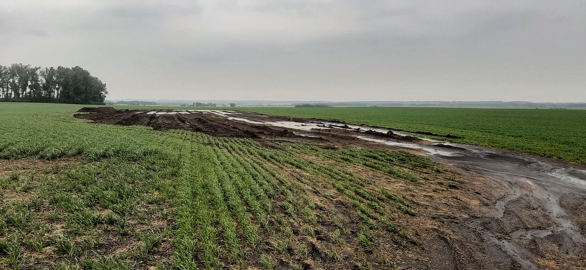 wheatiepete's tweet photo. I guess our dirt moving project will be on hold for a few days. #threeinches #thatisokthough #thankfulfortherain https://t.co/tnZNmMV6Fx