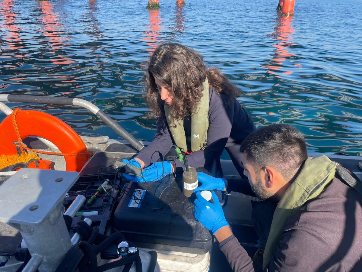 Armada de Chile tweet media