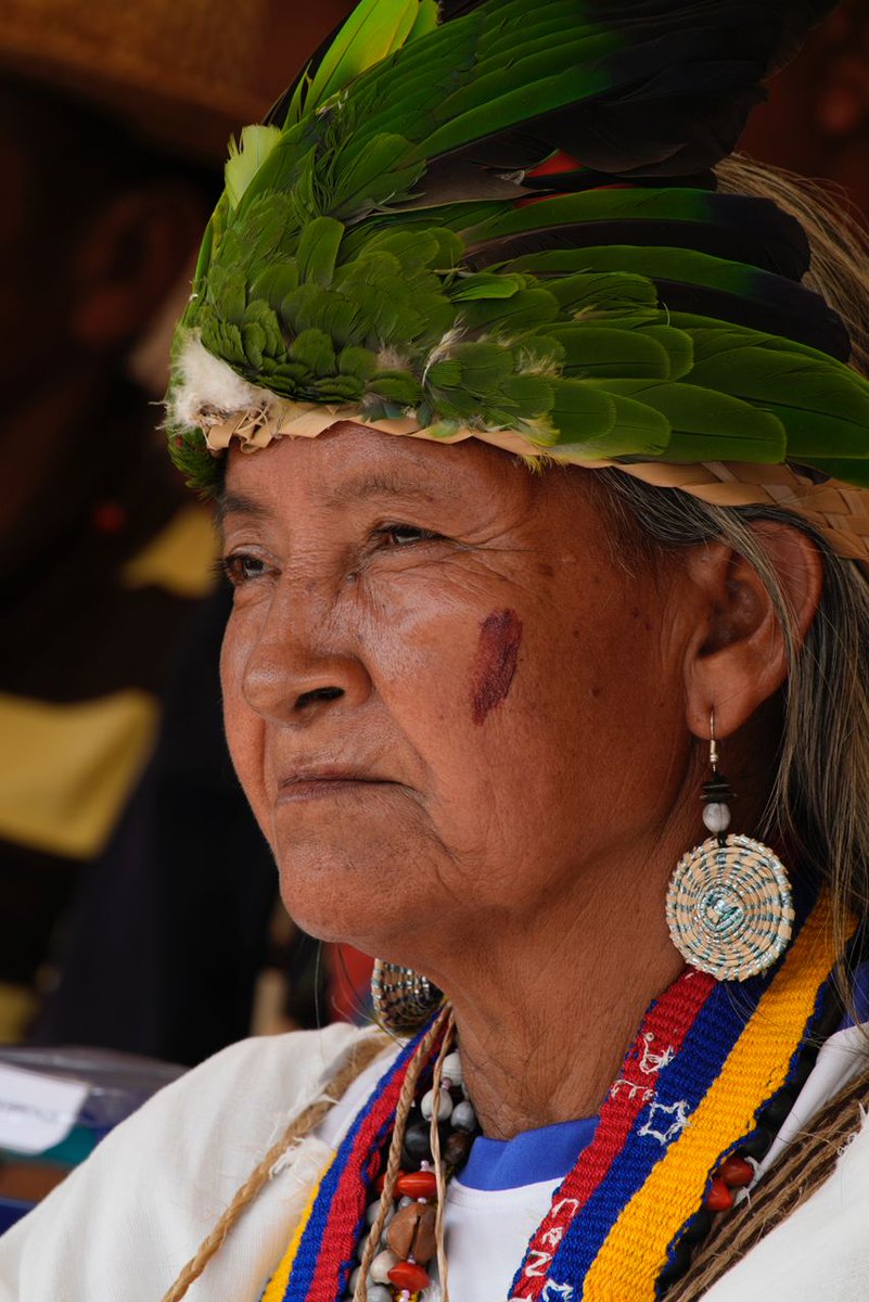 #AHORA || Vpdte. Sectorial A/J <a href="/CeballosIchaso1/">@FuerzaDinamica Remigio Ceballos Ichaso</a>: “Nosotros respetamos profundamente a nuestros pueblos indígenas, los admiramos y los amamos(…) eso fue los que nos enseñó el Comandante Chávez”

#BastaDeRoboYManipulaciónImperial