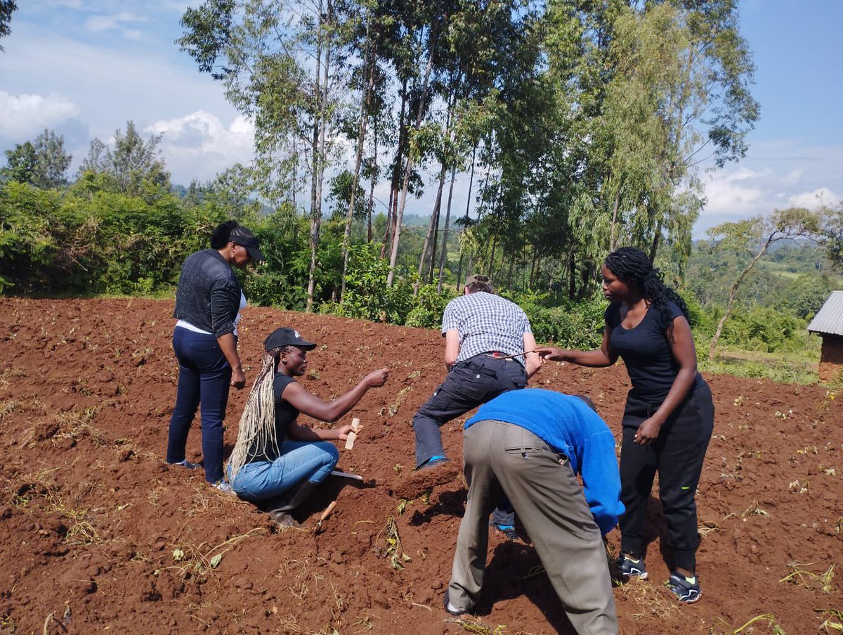 DannyCoyne6's tweet image. #Assessing banana fibre against #nematodes and #weevils under @BioInnovate &amp;amp; @USAID , @USAIDKenya Emerging pests #projects.