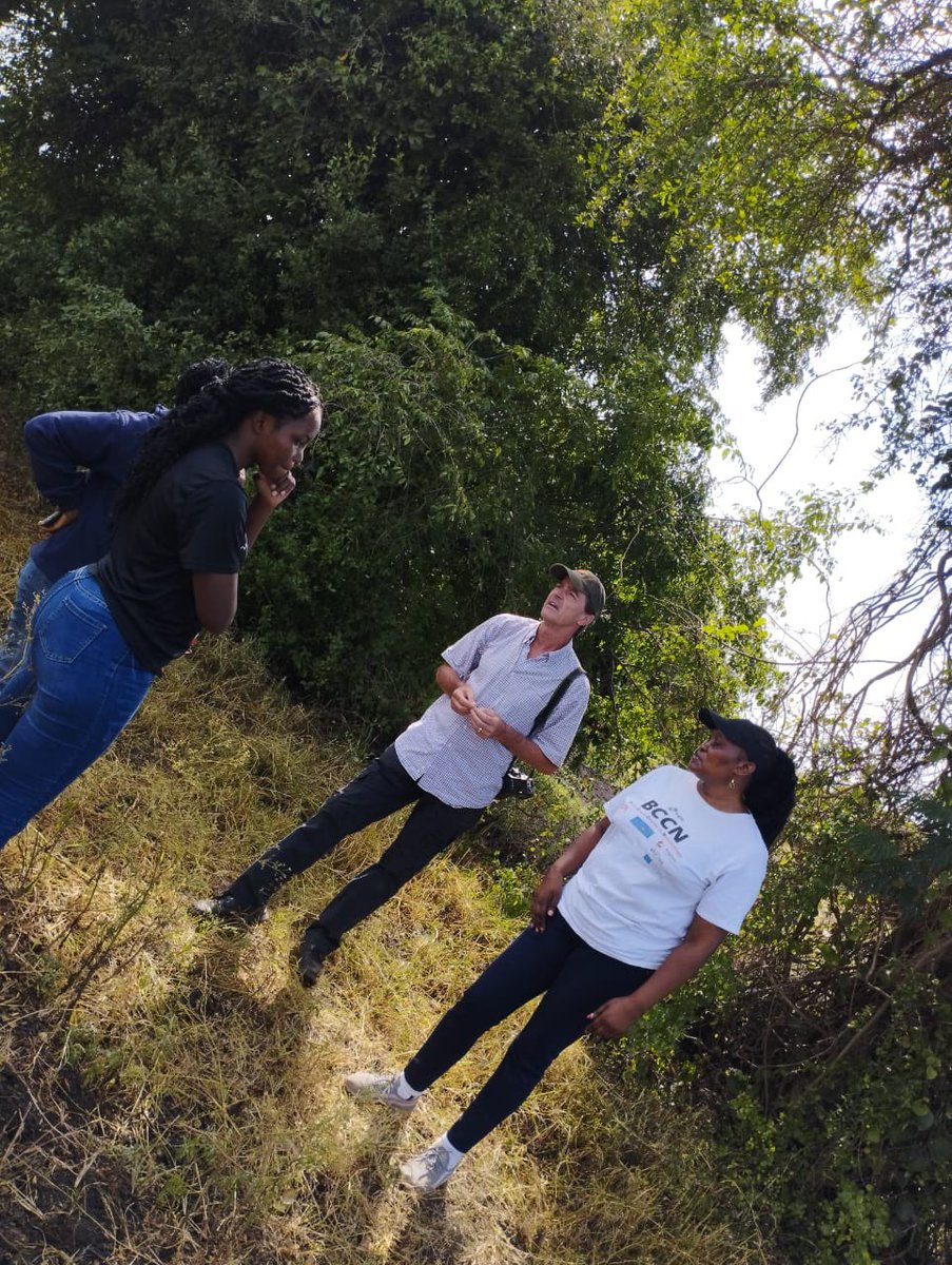 DannyCoyne6's tweet image. #Assessing banana fibre against #nematodes and #weevils under @BioInnovate &amp;amp; @USAID , @USAIDKenya Emerging pests #projects.