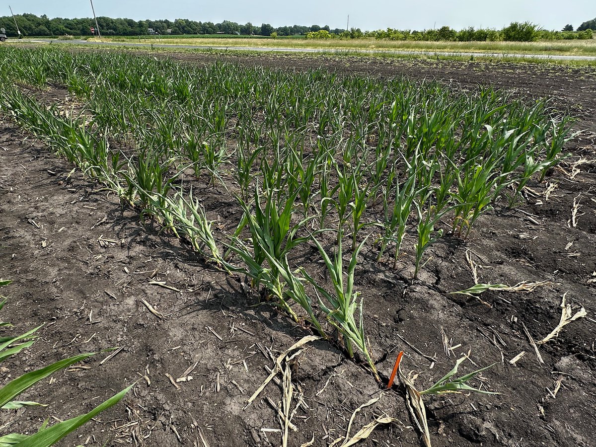 Joseph Lee Spencer tweet media