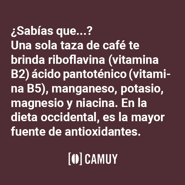 Cafés Camuy (@cafescamuy) on Twitter photo 