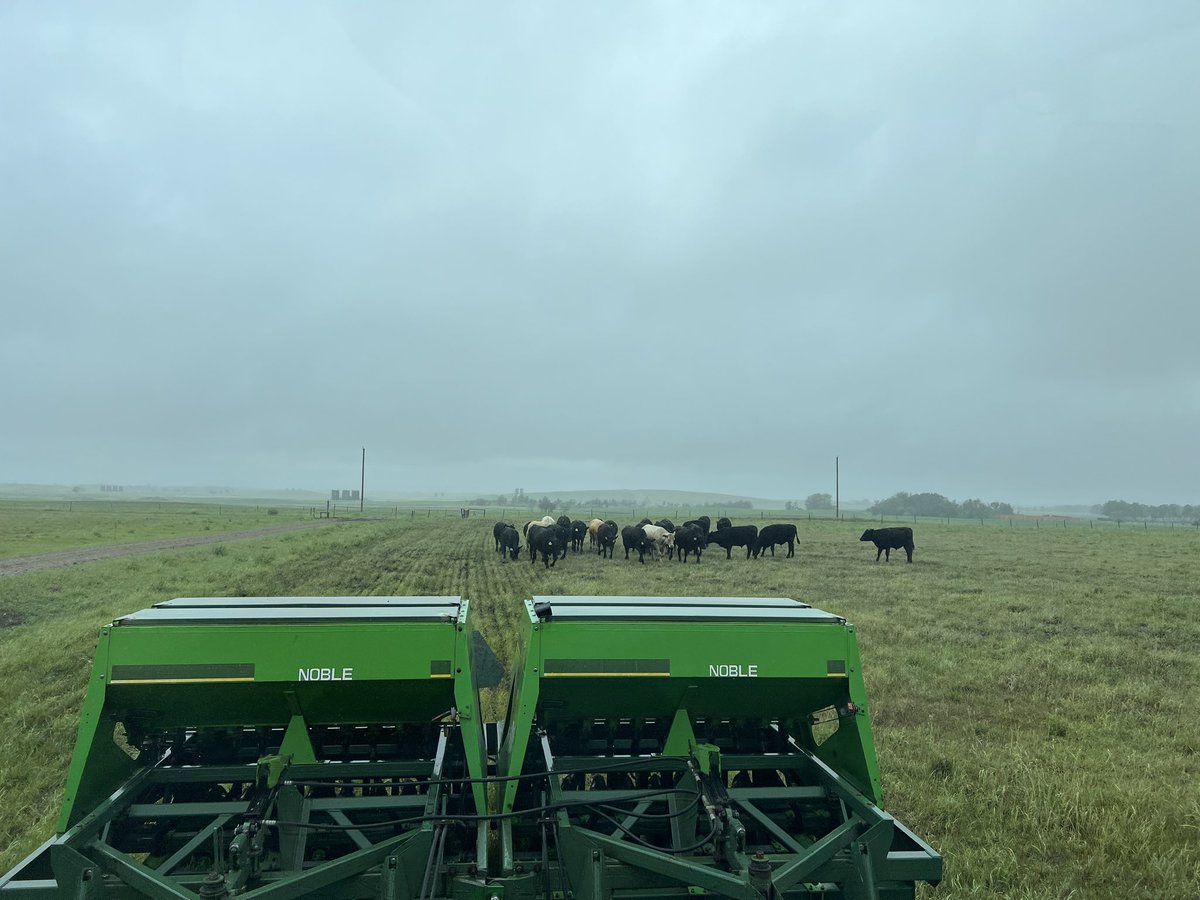 grassncows's tweet image. Just seeded a #LivingLab plot this morning. First rain of the year and we are putting @UnionForage #NitromasterV into an existing stand.