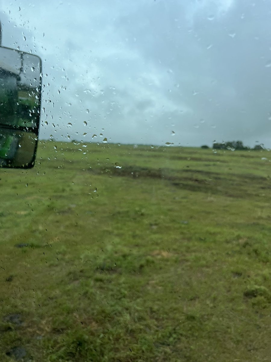 grassncows's tweet image. Just seeded a #LivingLab plot this morning. First rain of the year and we are putting @UnionForage #NitromasterV into an existing stand.