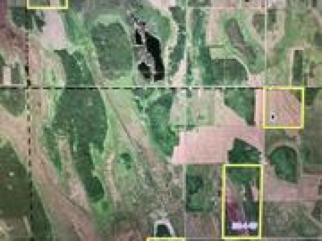 *ADD TO EXISTING OPERATION* BEEF FARM FOR SALE!
farmmarketer.com/listing/fm/164…

Farm Type: Beef/cattle
Acreage (Total): 938.24 
Province: MB
Agent: Sandy Donald Jr.

#Findyourdreamproperty #cdnbeef #cattlefarming #cattle #proudlycanadian #canadianbeef #farm365 #agproud #forsale