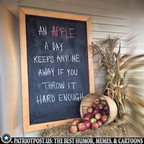 🇺🇸 Pecan 🇺🇸 tweet media