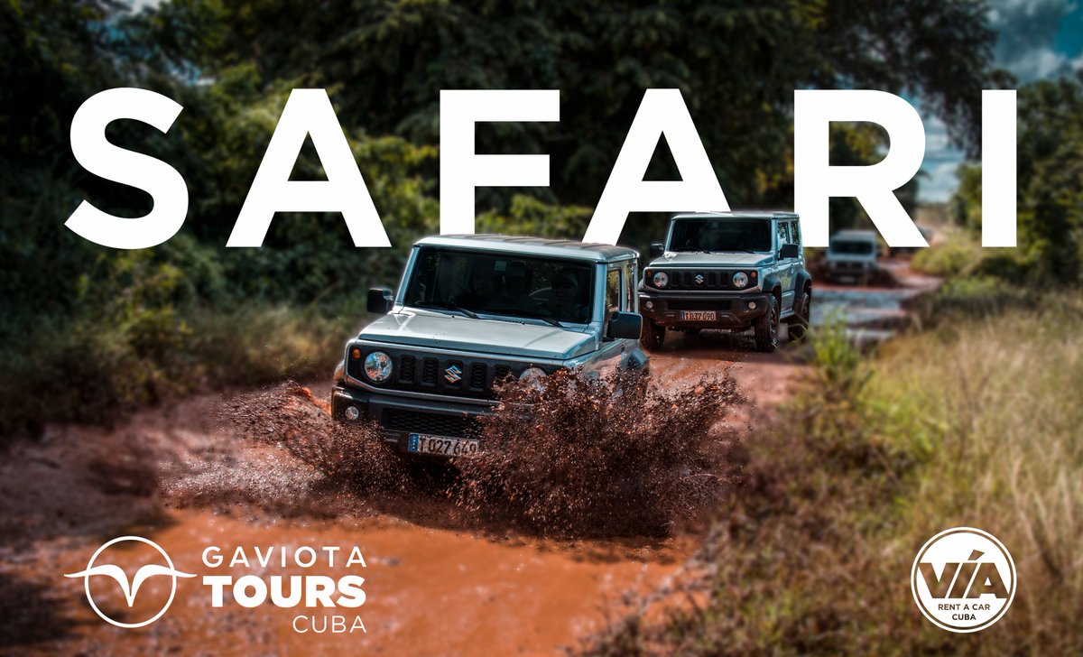 ¿Te gustaría experimentar una aventura emocionante que te haga sentir vivo y renovado?😉 ¡Entonces no te pierdas la oportunidad de unirte a nosotros en nuestro emocionante #Safari!😎🚙🏞️

@GaviotaToursCu

#TransGaviotaCuba #Jeep #Excursiones
#RentaCar #GaviotaToursCuba