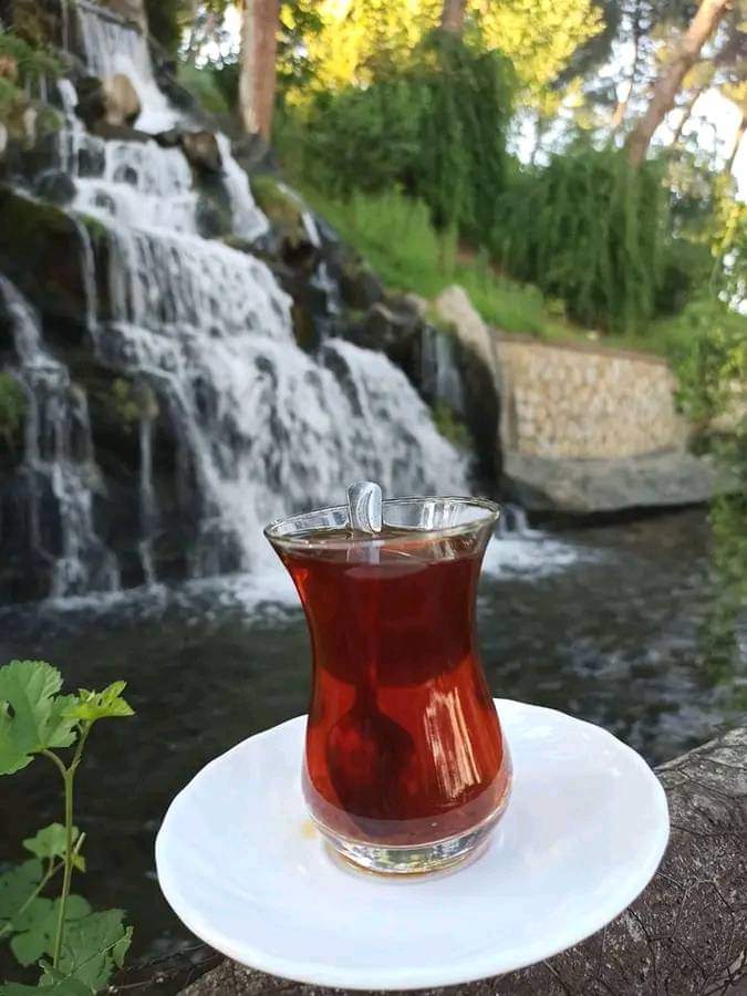 @__Ihtiyar @TC_BERFIN @keskin0673 @NerminSekin1 @Sava79459823 @Berfinim_Deniz @Suzan89498028 @TC_TOPRAK_ @MehmetTekin2424 @halukgrb @izmir_1919_ @Kaan41487244 @Ata1057 @ankara1922 @ankaralicadi90 @BenAta_Turk @caglar_kapan35 @By_gokhan_alp @asmerk12 @murmir19681 @EzeyFenerbahce @targit1881 @_WQC_ @1996Atam @Bozdoansalih2 @bozdogansahin @BaskanHanmm @binolduk @topsakal7405 @LemiKumru130377 @cansu_arap @ceviz19971 @turgutvesevda @ari1_huseyin @AsenaYavuz44 @hediyeboztemur @candayanmaz23 @gavur_hacii @ATA__CHP @psikologderyas1 @ATAISIK_ @canarsuzu_06 @Ankadedik @avukatbahatttin @gul_fid @btp_hatay @F80816040 @Ceyhunsalamov71 Benden de çay ikramı olsa kabul eder misiniz?'????