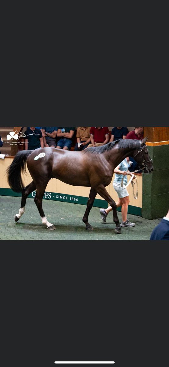 Russell ferris tweet media