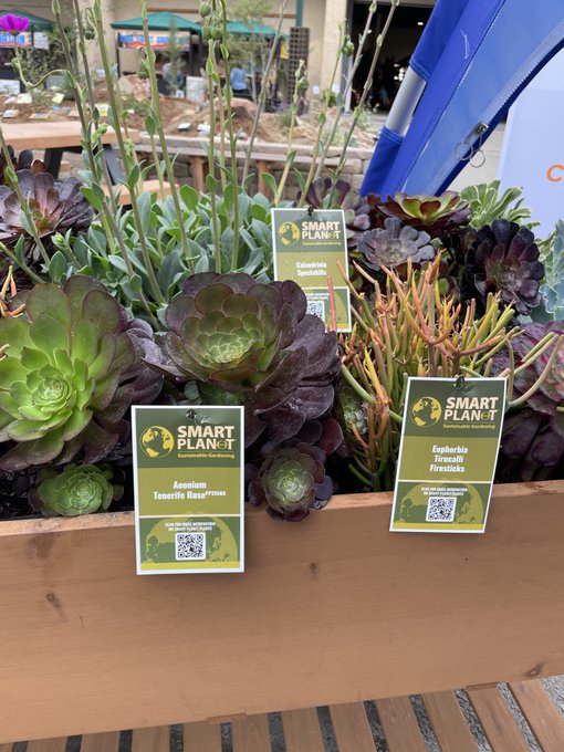 sdcwa's tweet photo. Ask us about water-wise plants!

Going to the @SDFair this weekend? Stop by our booth and get inspiration and tips on how to create your own beautiful water-wise garden. 

#ThanksForPlantingMe #PlantMe #NativePlants #LandscapeTransformation https://t.co/zeA7sCVVZI