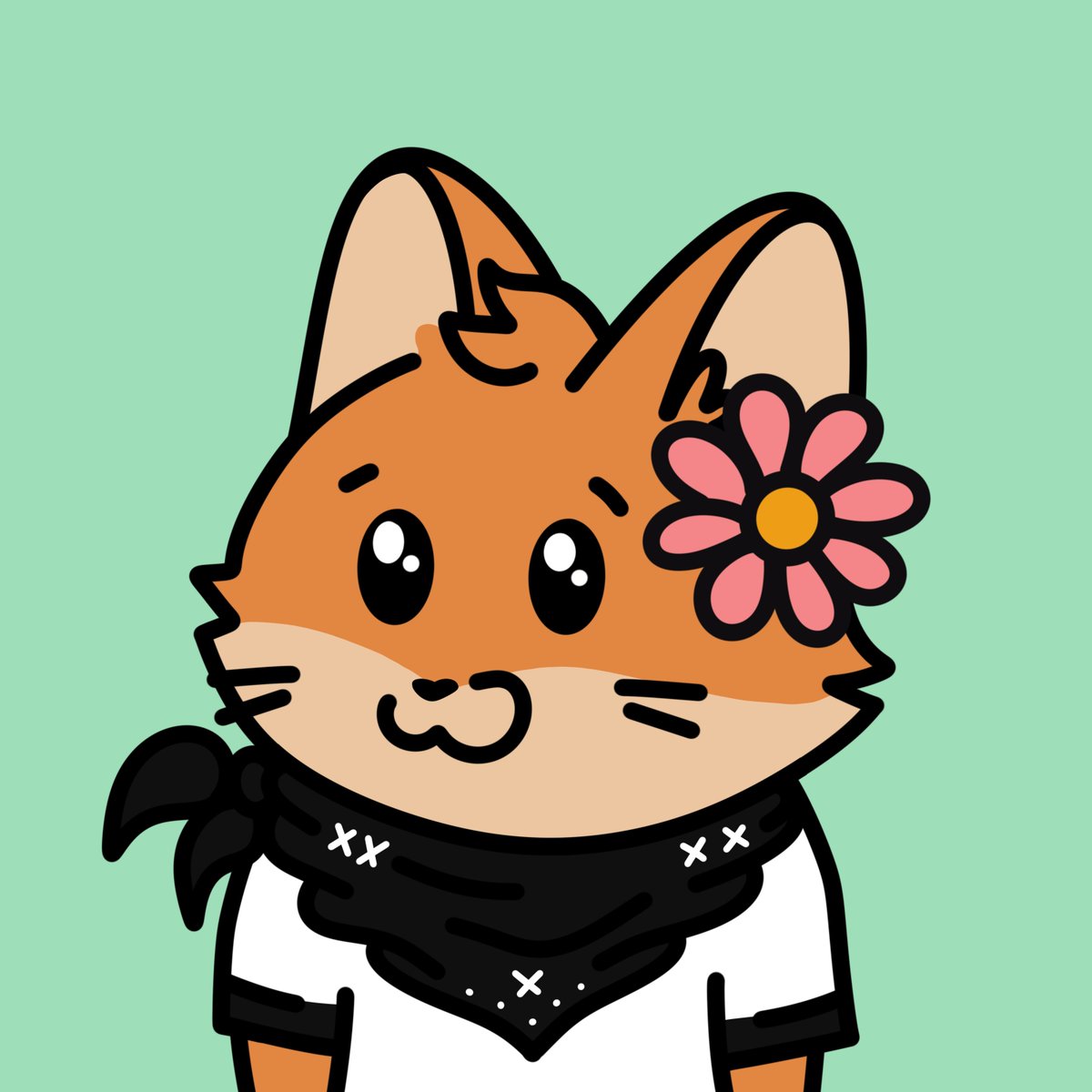 Slyly Foxes tweet media