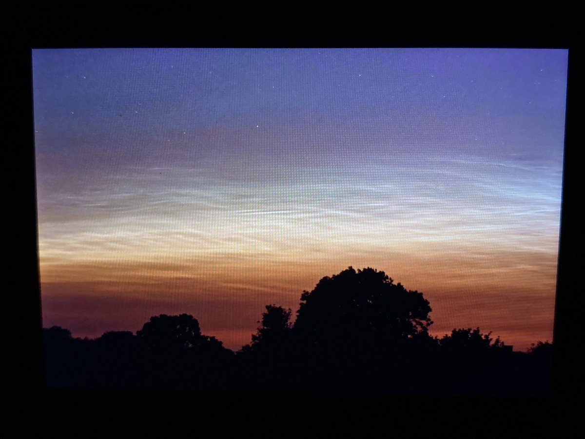 sianoshea.photography tweet media