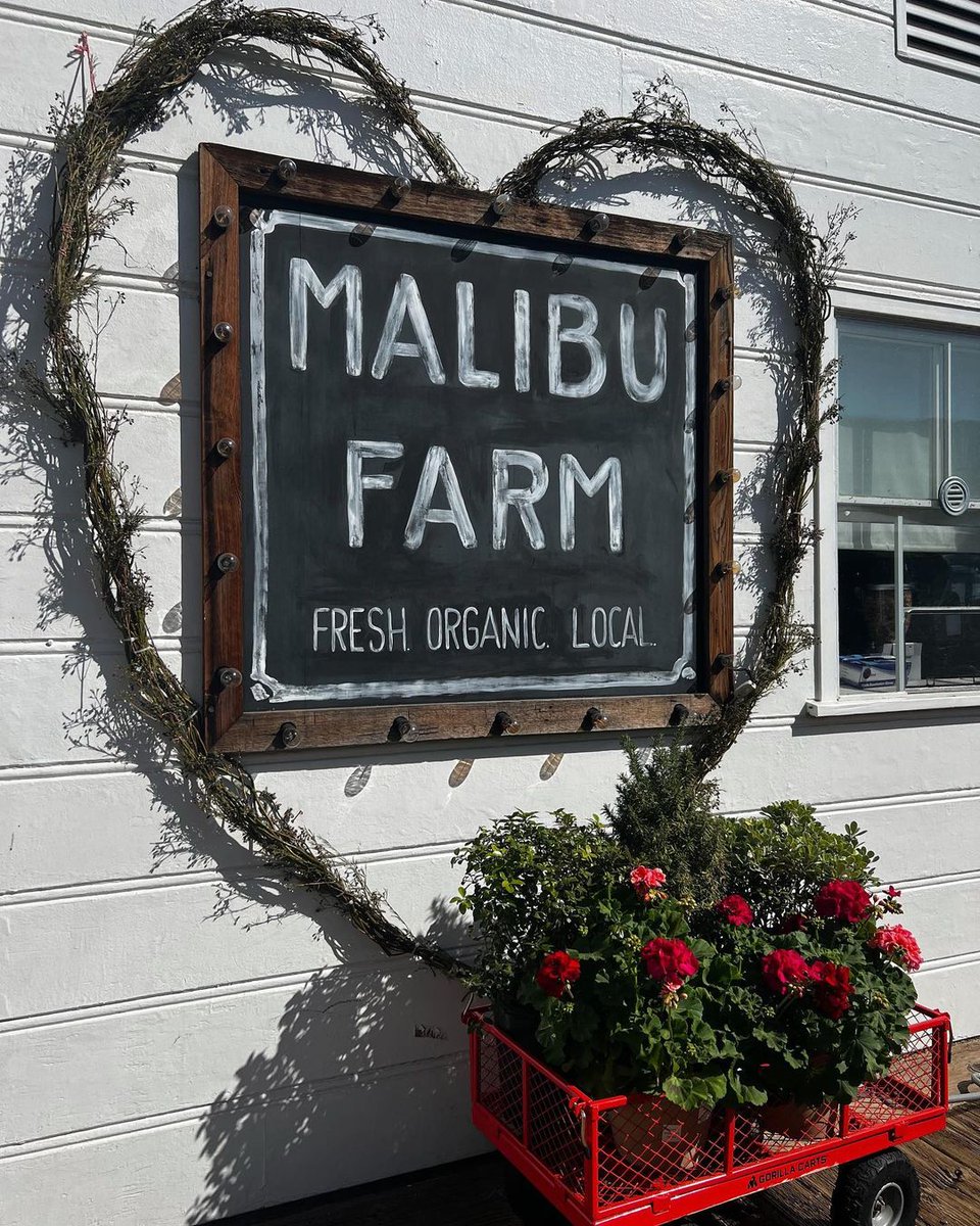 harperwilliam_s's tweet photo. #MALIBU https://t.co/eCzfRnZj6Z