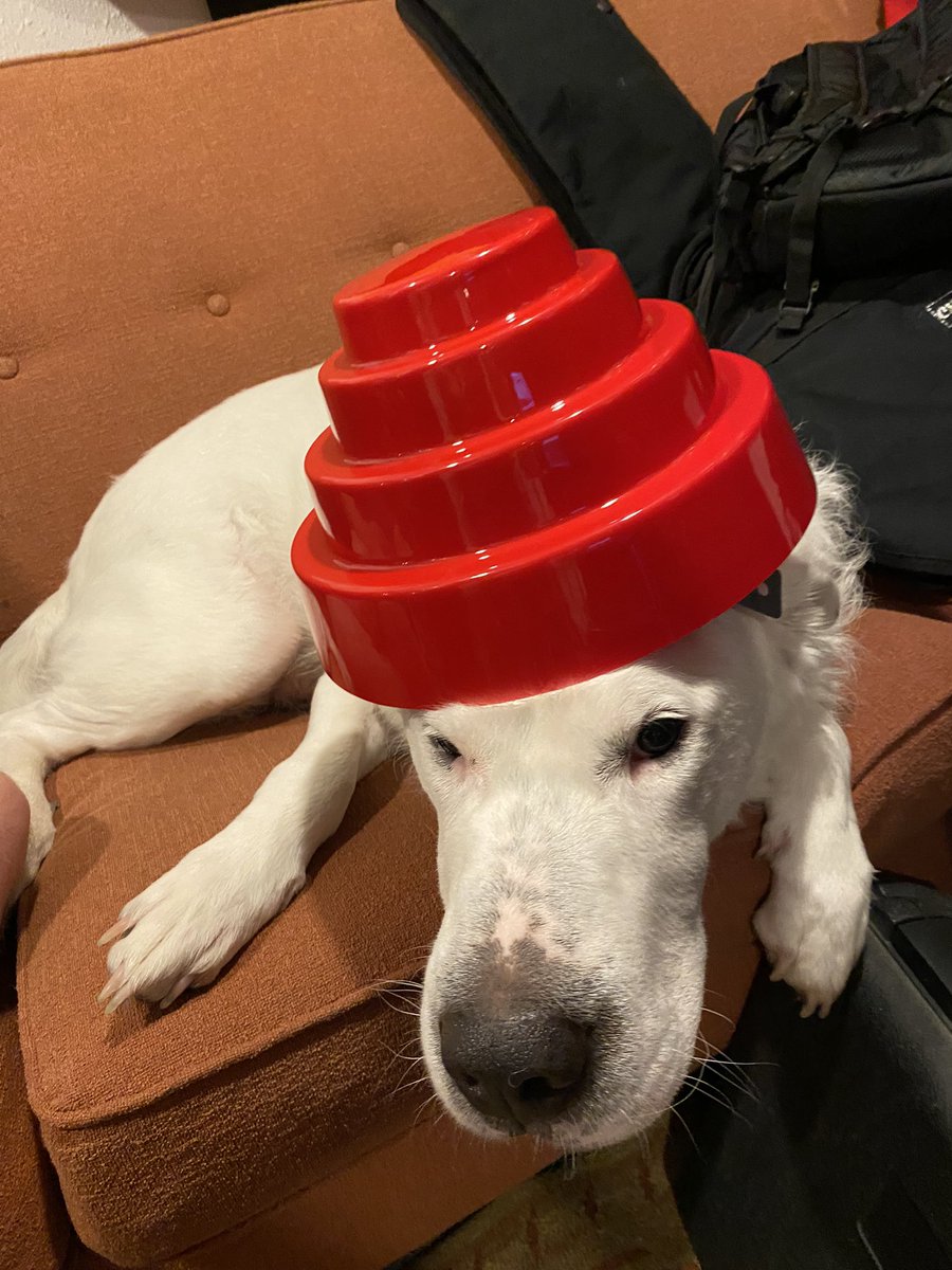 Are we not men? We are #Devo