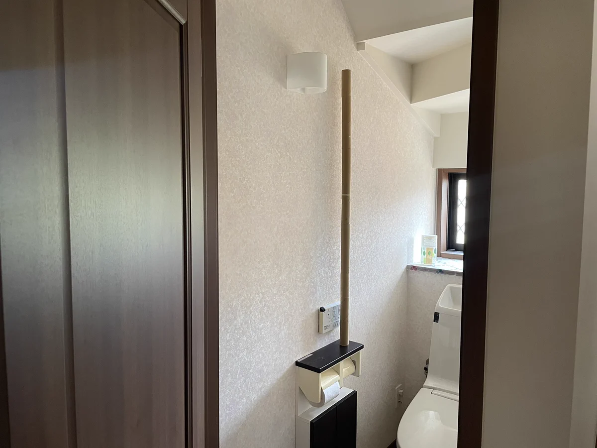 トイレットペーパーの芯を積み上げたら…。新記録に騒つく家族。