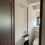 トイレットペーパーの芯を積み上げたら…。新記録に騒つく家族。
