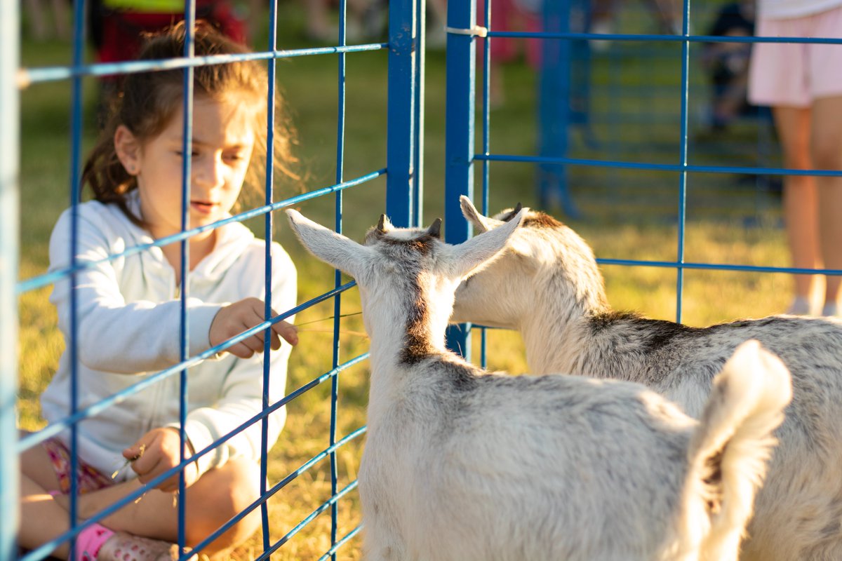 Riverview CC tweet media