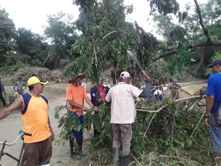 acebo_lester's tweet photo. Continúan las labores de higienización en #Yara #ProvinciaGranma, esta vez en el puente que comunica a la cabecera con la Comunidad José Martí. https://t.co/wmD3cKZ9gn