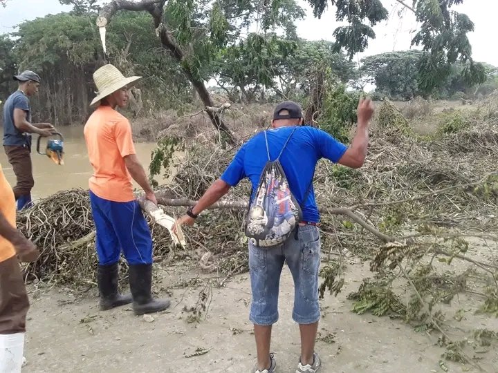 acebo_lester's tweet photo. Continúan las labores de higienización en #Yara #ProvinciaGranma, esta vez en el puente que comunica a la cabecera con la Comunidad José Martí. https://t.co/wmD3cKZ9gn